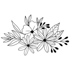 collection forest fern eucalyptus art foliage natural
leaves herbs inline style. Decorative beauty, elegant illustration 
for design: Vector flower Botanical