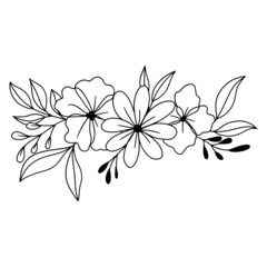 collection forest fern eucalyptus art foliage natural
leaves herbs inline style. Decorative beauty, elegant illustration 
for design: Vector flower Botanical