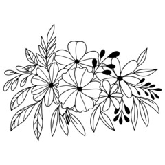 collection forest fern eucalyptus art foliage natural
leaves herbs inline style. Decorative beauty, elegant illustration 
for design: Vector flower Botanical