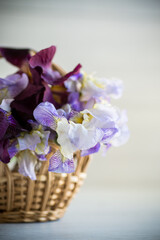 bouquet of beautiful blooming iris flowers on wooden background