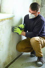 Fungus and mold is a manifestation of excess moisture in the room, a man with a spatula removes...