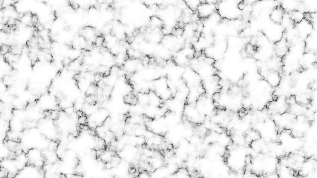 Black and white marble stone backdrop