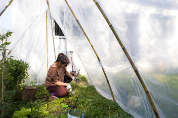 Mujer latina trabajando la tierra en un pequeño invernadero urbano. Concepto de huerta propia en...