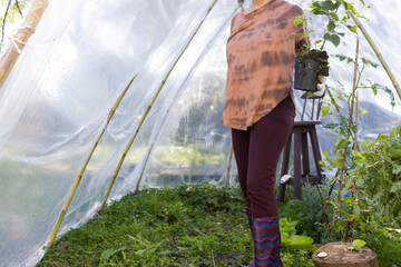 Mujer latina sosteniendo una maceta con una planta en un pequeño invernadero urbano. Jardinería....