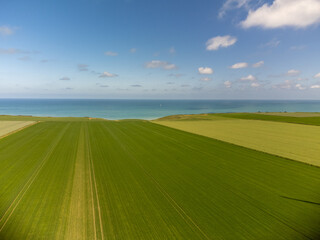Aerial view on green grain fields and blue Atlantic ocean in agricultural region Pays de Caux in Normandy, France