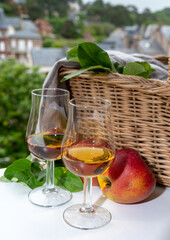 Tasting of strong alcoholic drink calvados made from apples in Normandy, Calvados region, France