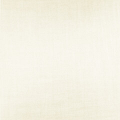 white paper texture background with delicate grid pattern