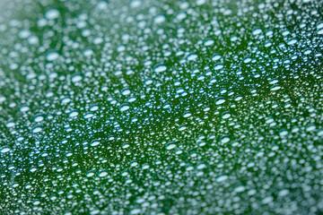 Fototapeta premium Water Drops from Rain on Window Windshield of Car