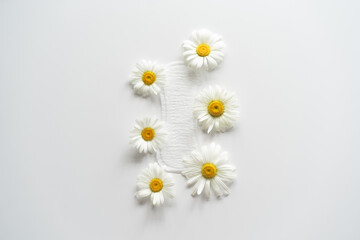 Menstruation period concept. Hygienic white female pad with chamomile flowers. Menstruation,...