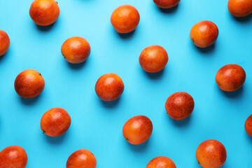 Many ripe sicilian oranges on light blue background, flat lay