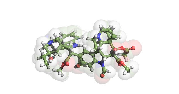 Vincristine, anticancer drug, 3D molecule