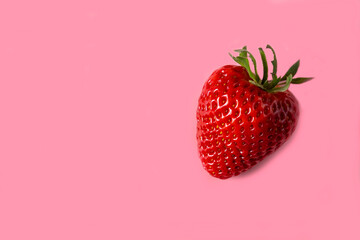 acidic, agricultural, agriculture, an orchard, apple harvest, apple orchard, apple tree, apples, autumn, branch, branch with apples, color, countryside, delicious, diet, farm, farming, foliage, food, 