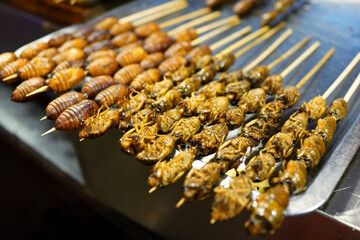 Fried scorpions snack at street food market - Beijing, China
