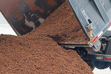 A dump truck delivers a large load of mulch or wood chips use for landscaping top ground material...