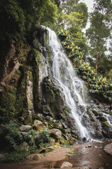 Plakat waterfall in the forest, Azores