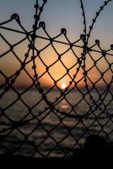 barbed wire against sunset