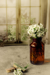 Still life of white
  wildflowers, front flowers in focus.