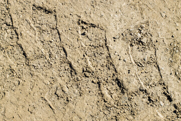 Large track from the wheel of an SUV or tractor on a clayey muddy road