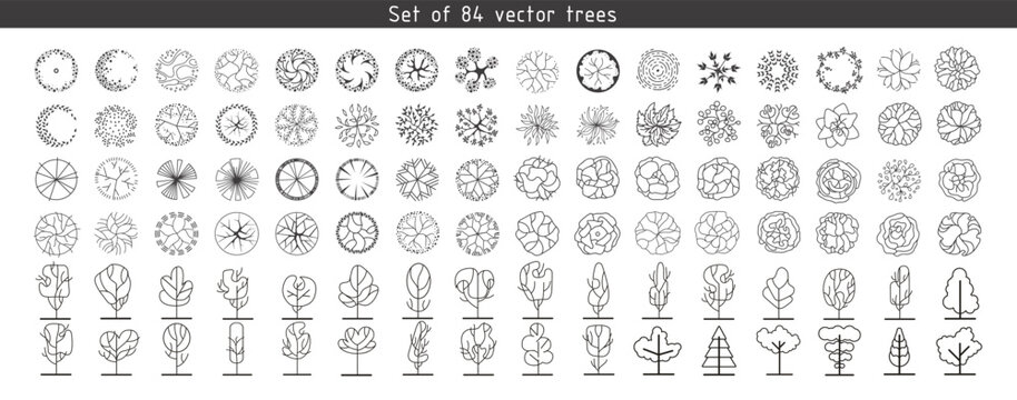 Trees for architectural floor plans. Entourage design. Various trees, bushes, and shrubs, top view for the landscape design plan. Vector illustration.