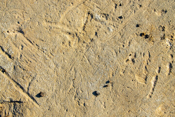 The texture of the sand stone as a background or backdrop.