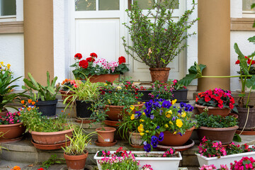 Fototapeta na wymiar flower pots in front of a house entrance