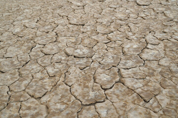 Alvord Desert Mud Cracks in Rain