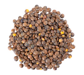 French lentils isolated on white background. Dry puy lentil grains pile. Top view.