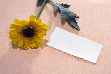 Torn paper on wooden surface and sunflower flat lay with copy space.