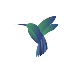 Bird Logo design