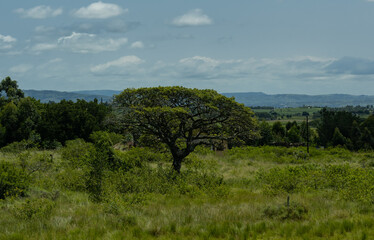 Landschaft vor dem Naturreservat Hluhluwe Nationalpark Südafrika