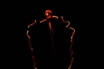 burning paper, glowing edge of paper on a black background
