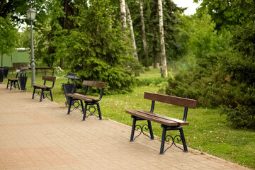 Fototapeta na wymiar Stylish benches in summer park