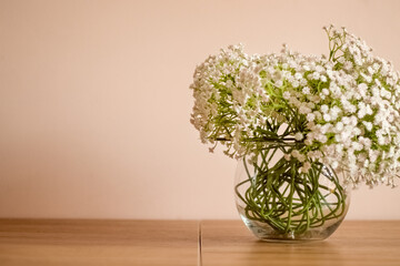 Bouquet of gypsophila in a glass aquarium. 
Baby's breath (gypsophila)
Bouquet of flowers in a glass vase. Bouquet on the table