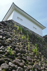 亀山城 多聞櫓と石垣