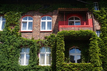Fototapeta na wymiar Windows of familok (specialized multi-family residence) in Nikiszowiec Historic District. Katowice, Poland