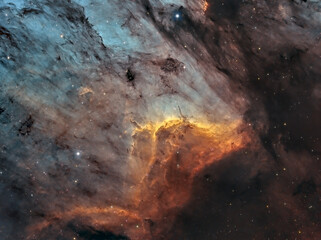 The Pelican Nebula