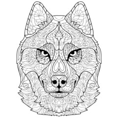 Husky. Coloring book. Contour image of a husky dog's head on a white background. Digital vector graphics.