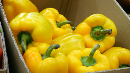 Close-up of many beautiful yellow bell peppers in a trading box