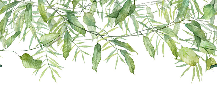 Long seamless banner with hanging green leaves on thin twigs. Design element header for greeting cards and stationery design. Horizontal botany illustration