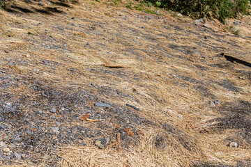 Suelo en el Parque Nacional del Teide, isla de Tenerife.