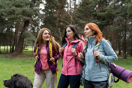 Group Of Three Mature Women Hiking, Smiling Female Friends Hiking In Mountains