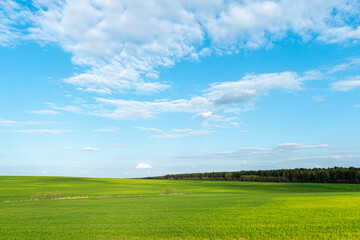 Beautiful field and forest on a background of clouds on a sunny summer day. Nature landscape. Harvesting and preparing the field for sowing seeds.