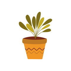 Potted plant, leafy flower. Single colorful illustration vector hand drawn. Houseplant in a flowerpot