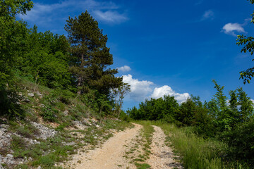 Fototapeta premium Rural road in mountains near city Jajce, Bosnia and Herzegovina