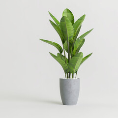 3d illustration of houseplant in modern potted isolated on white background