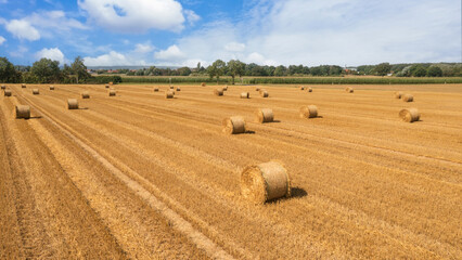 A farm field after harvest with haystacks on a sunny august day. Panoramic aerial drone view with copy space.
