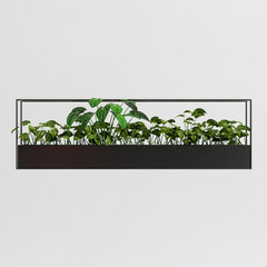 3d illustration of houseplant on wall isolated on white background
