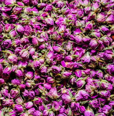 Pink rose tea on the market