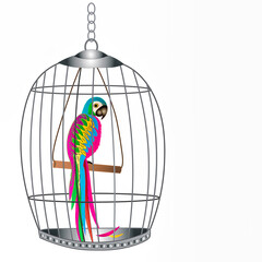 A colorful illustration of a Tropical Parrot perched inside a large birdcage.