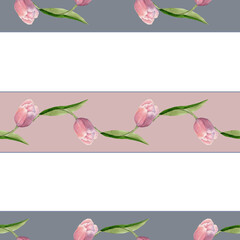 Seamless pattern coupon floral stripe. Pink tulip flowers on a stem with green leaves. Hand drawn watercolor illustration isolated on white background for textile, fabrics, wallpaper, texture.